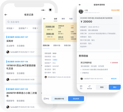 安全规范的财务体系